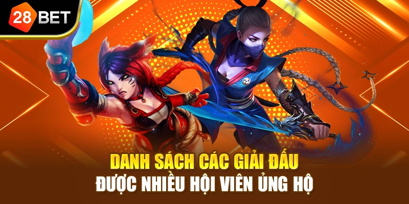 Danh sách các giải đấu được nhiều hội viên ủng hộ