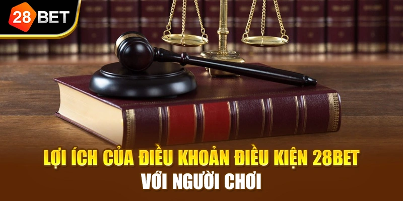 Lợi ích của điều khoản điều kiện 28BET với người chơi