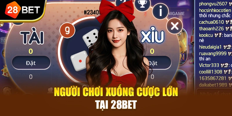 Người chơi xuống cược lớn tại 28BET