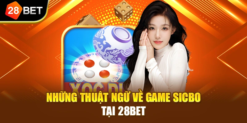Những thuật ngữ về game Sicbo tại 28BET