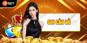 Soi Cầu Đề